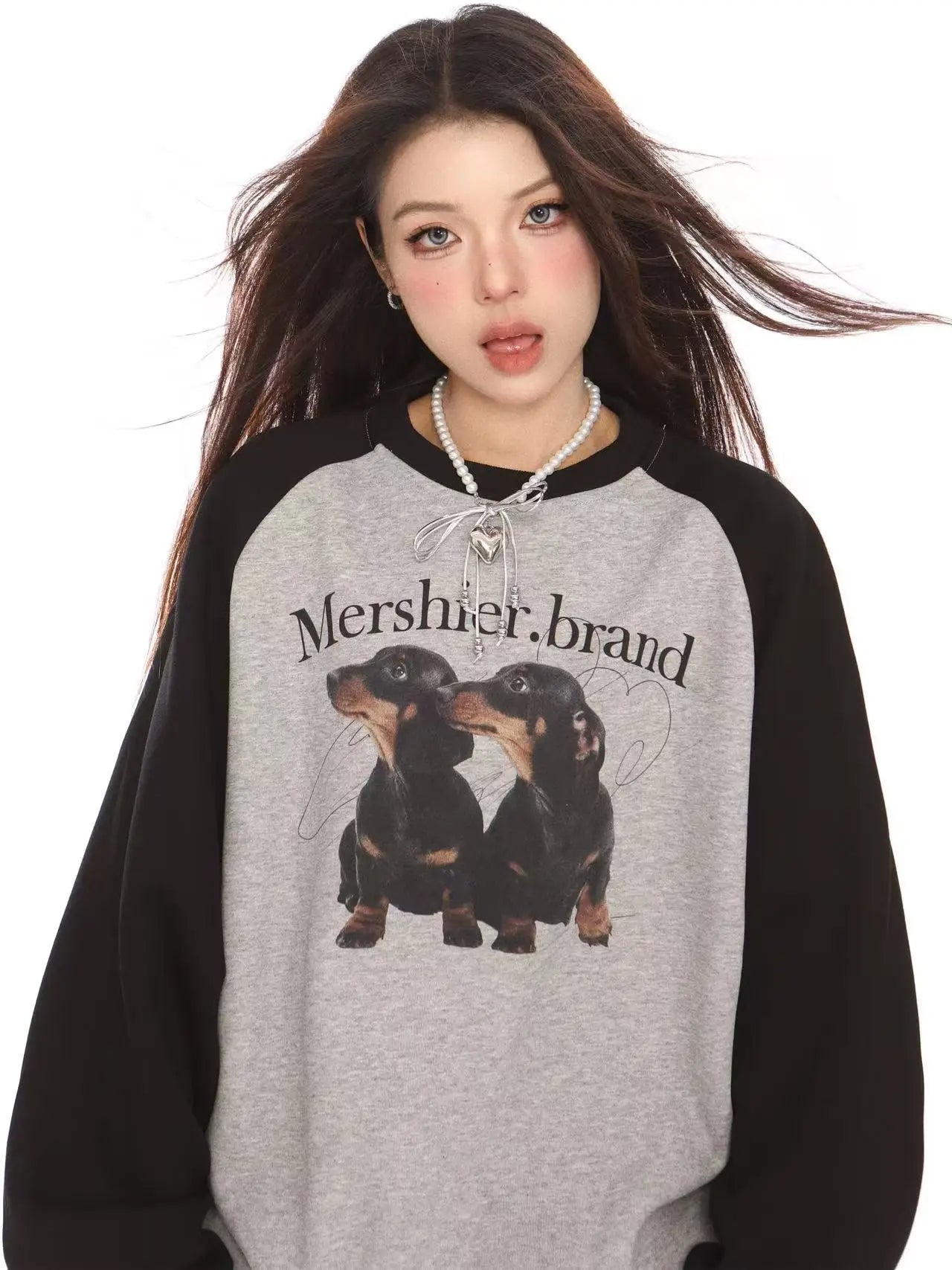 Retro Colorblock Dog Raglan Sweatshirt   OL2113